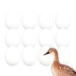 Análisis y comparativa: Los mejores huevos de pato para sushi
