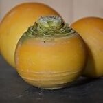 Los mejores nabos amarillos para sushi: análisis y comparativa de productos imprescindibles