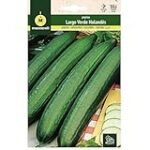 Los mejores productos para sushi con sweet pepino: Análisis y comparativa