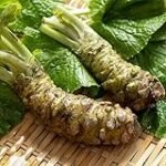 Semilla de Wasabi: El ingrediente imprescindible en la preparación del mejor sushi. Análisis y comparativa de las mejores opciones del mercado