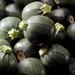 Las mejores verduras exóticas para sushi: análisis y comparativa de productos