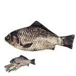 Análisis y comparativa de los mejores tipos de pescado escolar para sushi: ¡Descubre cuál es el ideal para tus recetas!