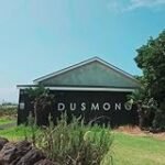 Análisis y comparativa: descubre las mejores cervezas Jeju para maridar con sushi