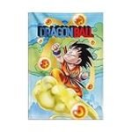 Análisis y comparativa de los mejores productos para sushi: ¿Cómo un póster de Dragon Ball puede mejorar tu experiencia gastronómica?