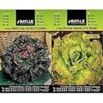 Guía de compra: lechuga marina para sushi, descubre los mejores productos del mercado