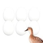 Análisis de los Mejores Huevos de Pato para Sushi: ¡Descubre la Excelencia en Cada Bocado!
