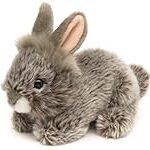 Análisis de los mejores cuchillos para sushi: La coneja de angora, el aliado perfecto en tu cocina