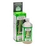 Los beneficios de beber Aloe Vera para potenciar tu experiencia sushi: Guía de productos recomendados