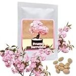 Los mejores utensilios de sushi inspirados en la belleza del cerezo sakura