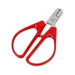 Análisis: Melón vs Melona, ¿Cuál es la mejor opción para acompañar tu sushi? Análisis: Melón vs Melona, ¿Cuál es la mejor opción para acompañar tu sushi?